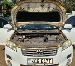 Toyota Vanguard 2009 Pearl