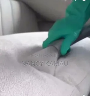 Hygienic Couch Wash