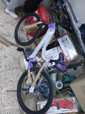 Purple and Black Reset Mountain Bike Size 24