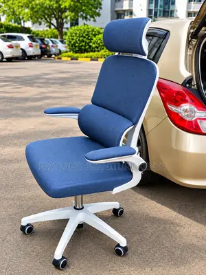 Premium Ergonomic Office Chair | Adjustable Executive Chair