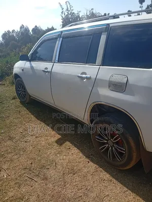 Toyota Probox 2009 White