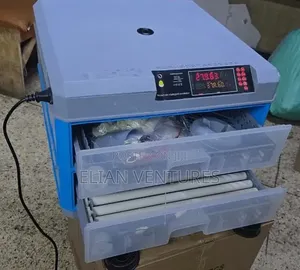 Most Purchased 64 Eggs Incubator