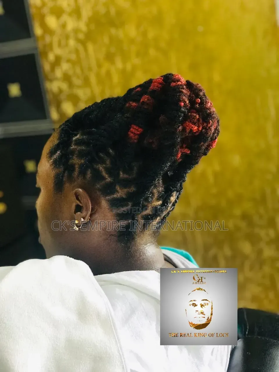 Premium Mobile Dreadlocks Services (House Calls)