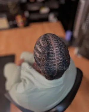Premium Mobile Dreadlocks Services (House Calls)