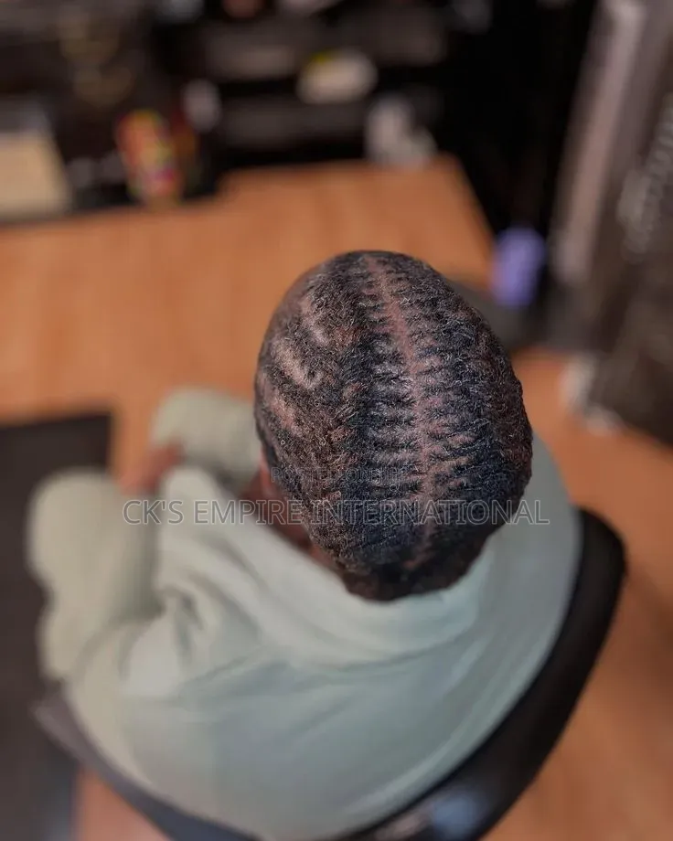 Premium Mobile Dreadlocks Services (House Calls)