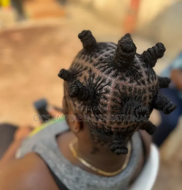 Premium Mobile Dreadlocks Services (House Calls)