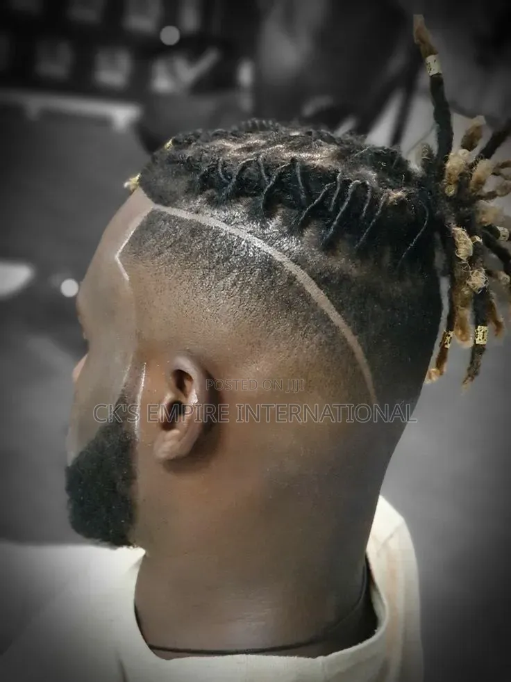 Premium Mobile Dreadlocks Services (House Calls)