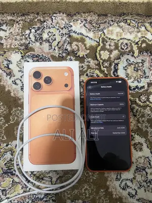 Apple iPhone 17 Pro Max 256 GB Orange