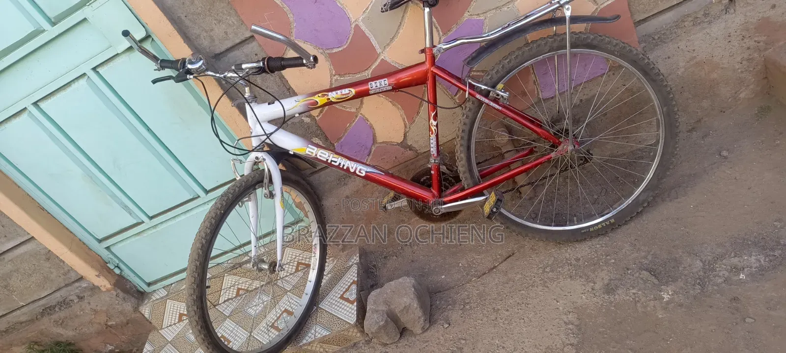 Mountain Bike