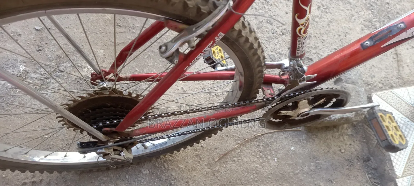 Mountain Bike