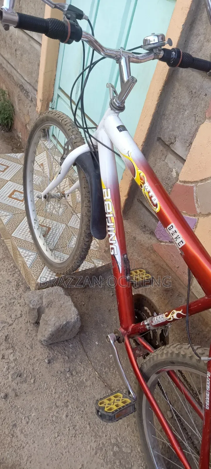 Mountain Bike