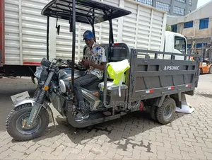 New Motorcycle 2025 Gray