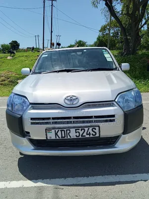 Toyota Probox 2017 Pearl