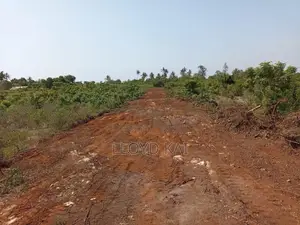 50*100plots for Sale , With Ready Titles!Lipa Mdogomdogo Available