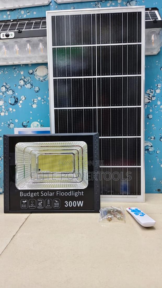 60W Budget Solar Floodlight - main view