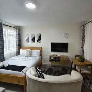 VIP Fully Furnished Studio in Ngong | Wi-Fi | Parking