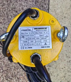 New Arrival 2hp Freevel Submersible Sewage Water Pump