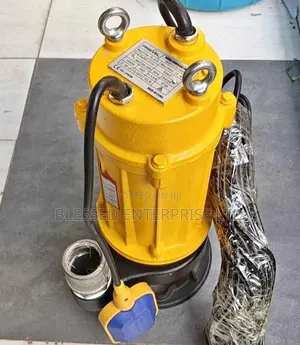 Most Selling Sewage Commercial Water Pump 2hp