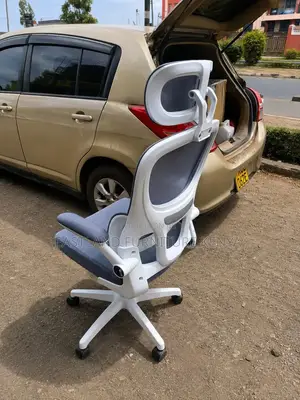 Premium Ergonomic Executive Office Chair
