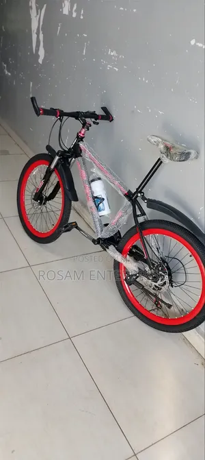 Planet Bicycle Size 24"