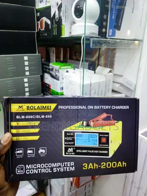 BLM-866C 12V 24V Intelligent Battery Charger 15A Pulse Repair