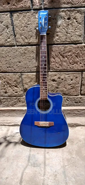 Acoustic Guitar + Leather Bag