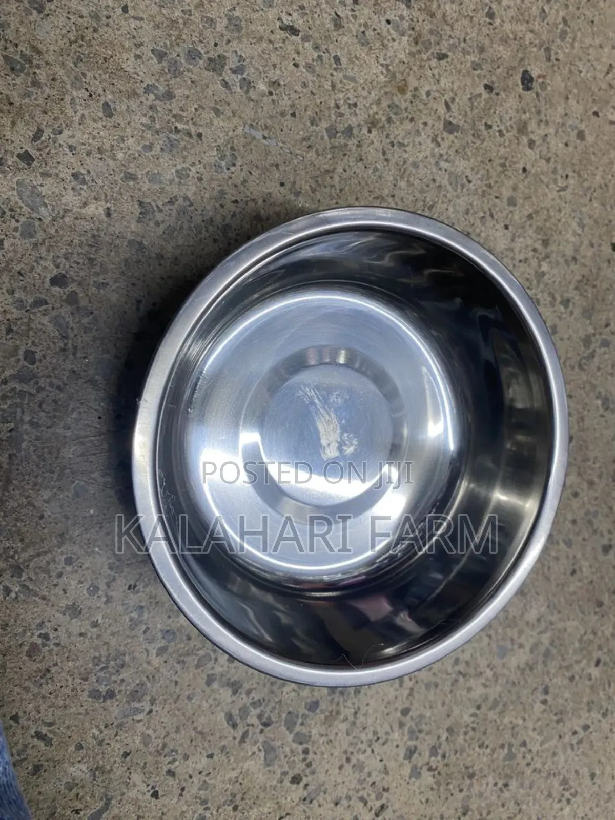 Dog Food and Water Bowls