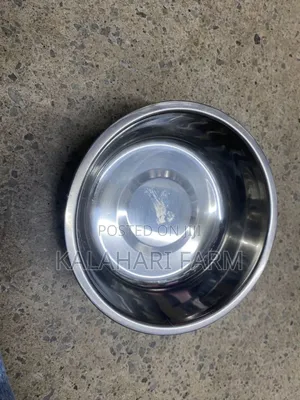 Dog Food and Water Bowls