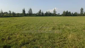 Prime 2 Acre for Sale, Ngata Nakuru