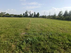 Prime 2 Acre for Sale, Ngata Nakuru