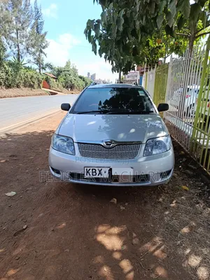 Toyota Corolla Fielder 2008 Silver