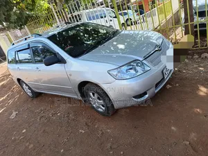 Toyota Corolla Fielder 2008 Silver