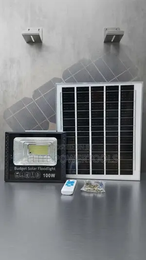 100W Budget Solar Floodlight