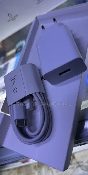 33w 2pin Xiaomi Original Charger
