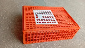 Medium Transport Crate