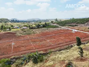 50x100 Plot in Nachu Kikuyu | TITLE DEED IN 30 DAYS | KSh 1.3M