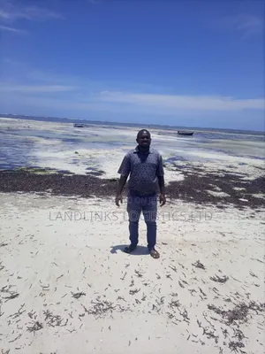 Diani Mombasa Beach Plot 1 Acre , Ideal for Anything