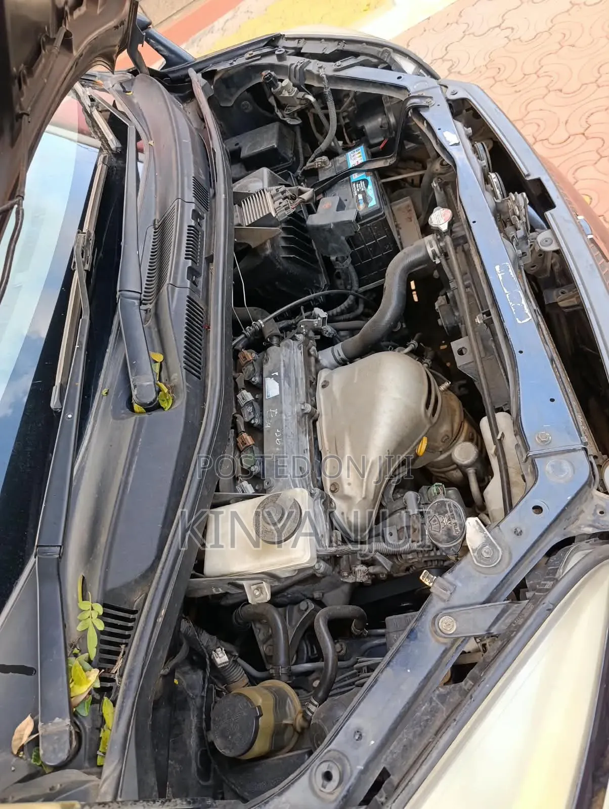 Toyota Voxy 2006 Blue