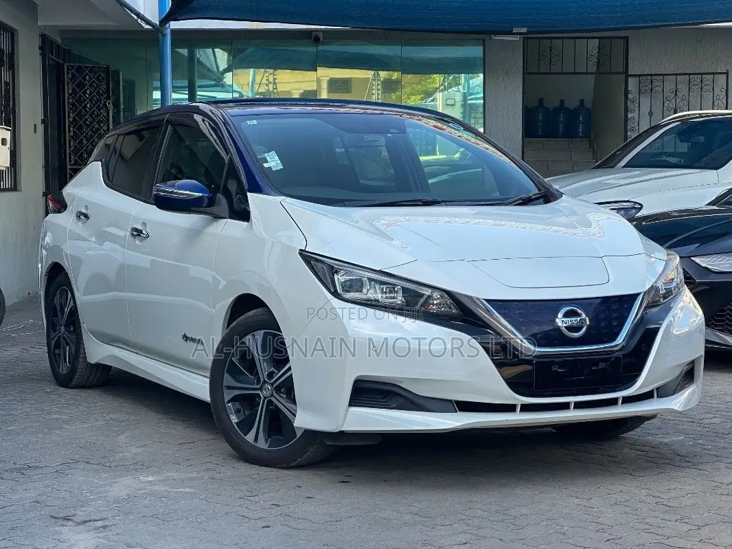 Nissan Leaf 2019 Pearl