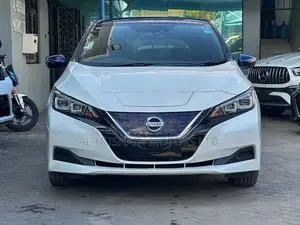 Nissan Leaf 2019 Pearl