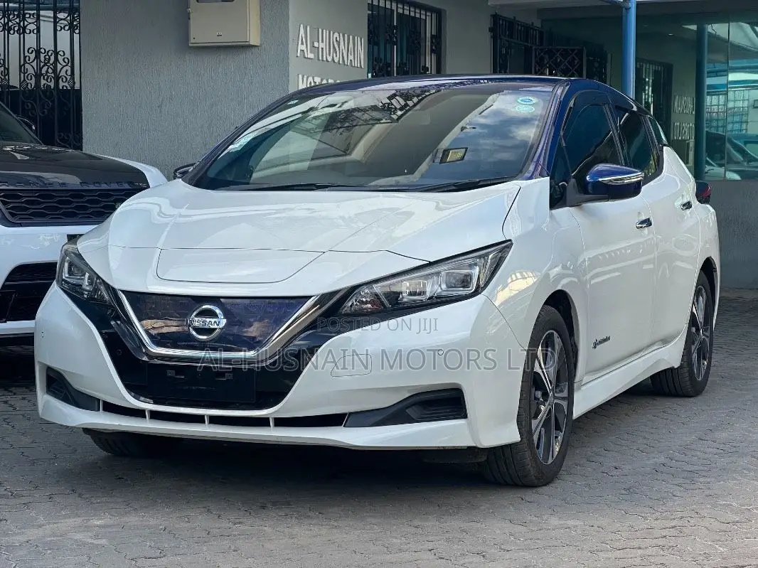 Nissan Leaf 2019 Pearl
