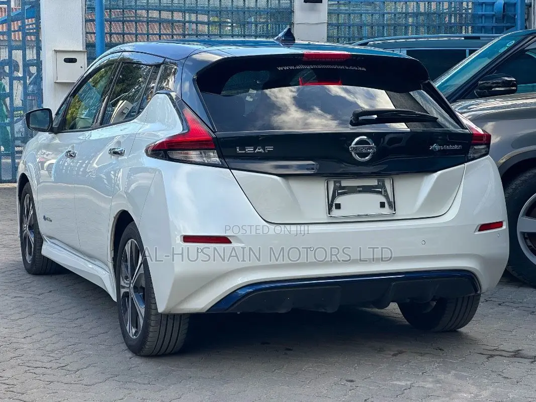 Nissan Leaf 2019 Pearl
