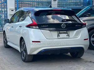 Nissan Leaf 2019 Pearl