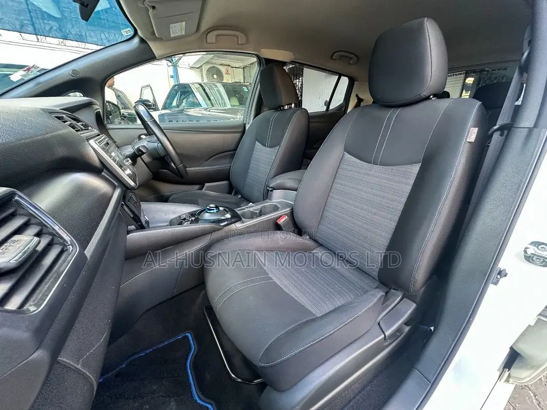 Nissan Leaf 2019 Pearl