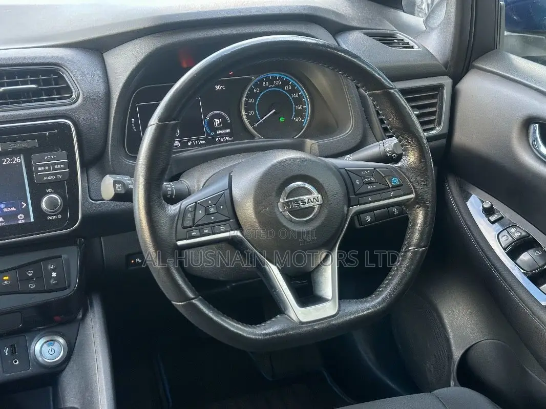 Nissan Leaf 2019 Pearl