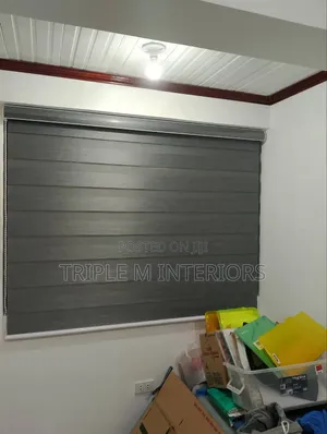 Stylish Horizontal Dual Layer Zebra Roller Blinds