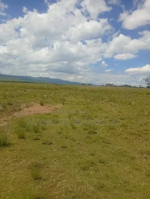 Prime 1 Acre for Sale- Karandi, Along Mbaruk Rd. Nakuru