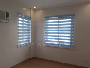 Luxury Horizontal Zebra Blinds for Living Rooms