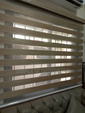 Elegant Zebra Roller Blinds for Home Window Decor