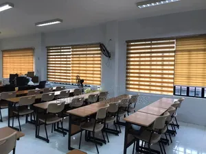 Professional Office Zebra Roller Blinds - Privacy Shades